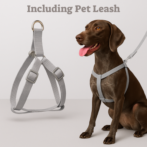 Petopia™ Safety & Comfort Dog Collar