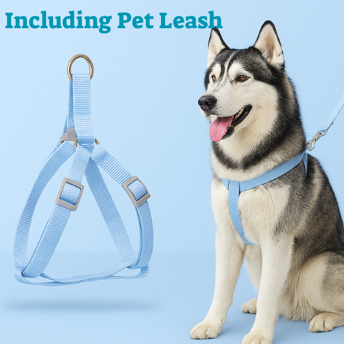 Petopia™ Safety & Comfort Dog Collar