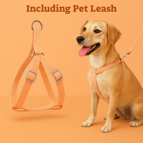 Petopia™ Safety & Comfort Dog Collar