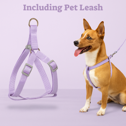 Petopia™ Safety & Comfort Dog Collar
