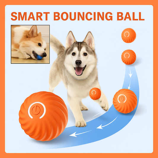 Petopia™ Smart Bouncing Ball