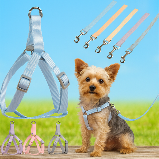 Petopia™ Safety & Comfort Dog Collar