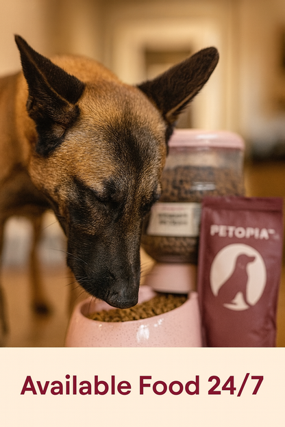 Petopia™ Automatic Dog Feeder