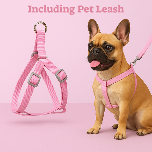 Petopia™ Safety & Comfort Dog Collar